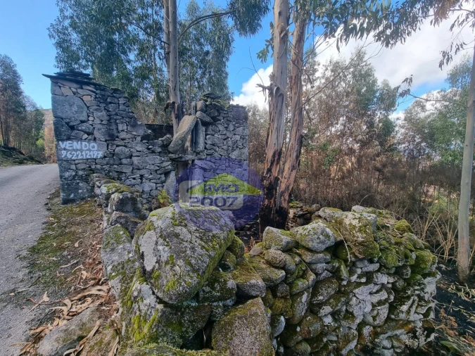 Moradia para Venda em Covelo de Paivó e Janarde Foto 6