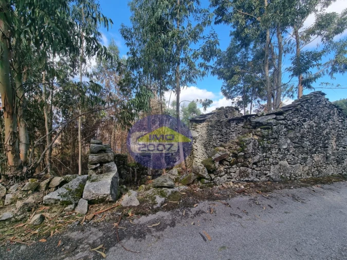 Moradia para Venda em Covelo de Paivó e Janarde Foto 8