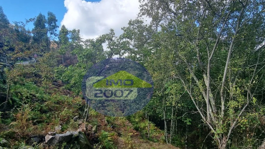 Moradia para Venda em Covelo de Paivó e Janarde