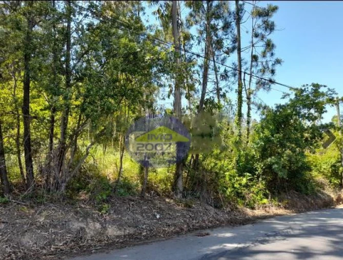 Terreno para Venda em Argoncilhe Foto 1