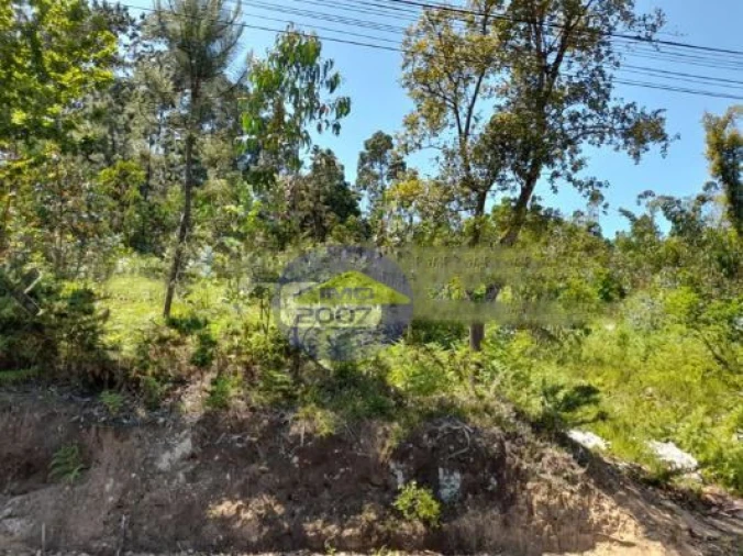 Terreno para Venda em Argoncilhe Foto 2