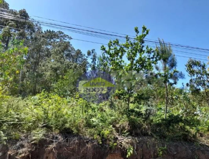 Terreno para Venda em Argoncilhe Foto 3