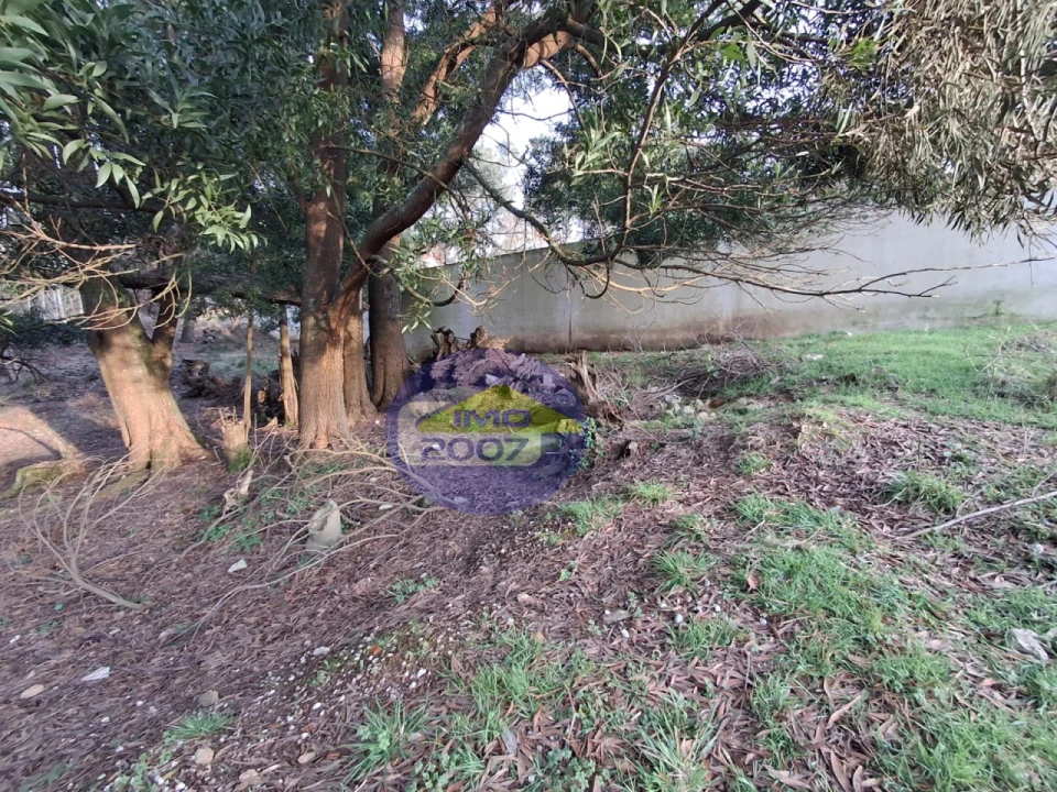 Terreno para Venda em Arrifana Foto 4