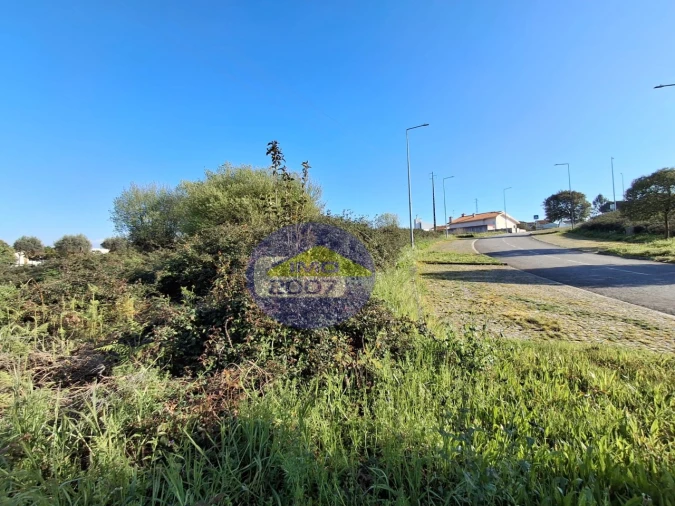 Terreno para Venda em Argoncilhe Foto 14