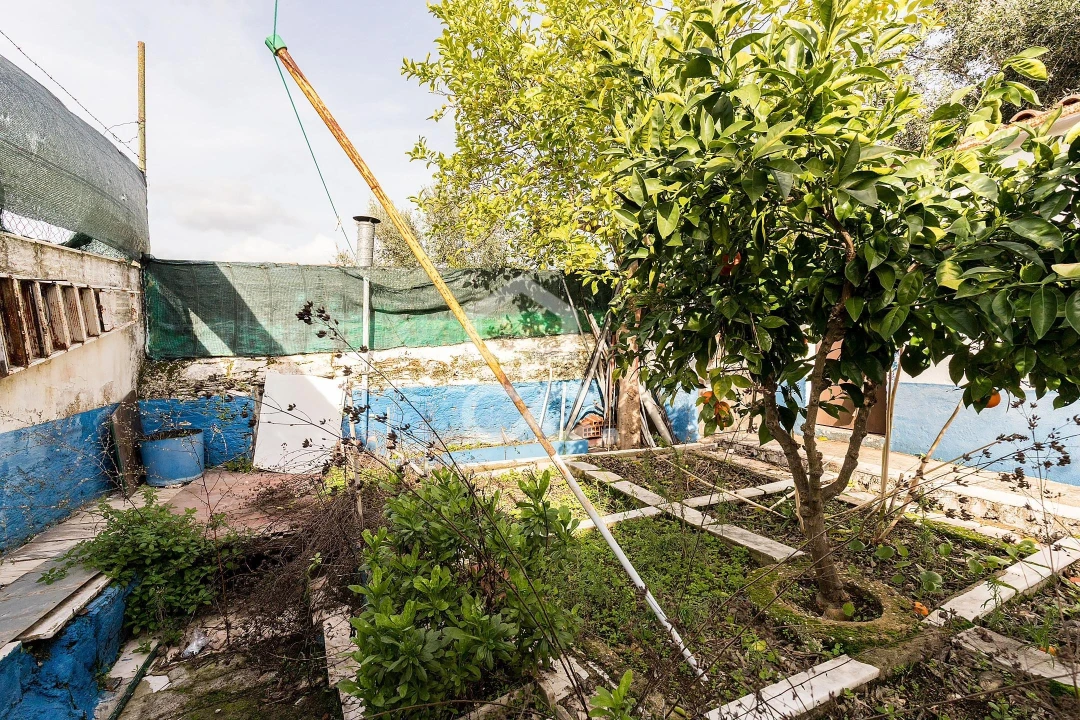 Moradia T3 para Venda em Terena (São Pedro) Foto 25