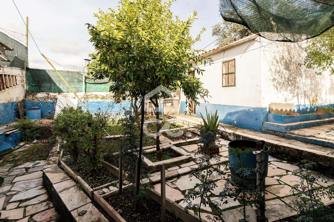 Moradia T3 para Venda em Terena (São Pedro) Foto 16