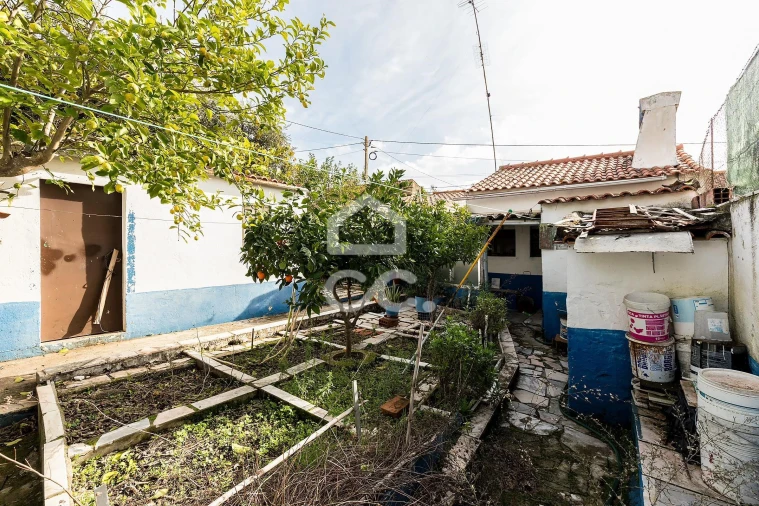 Moradia T3 para Venda em Terena (São Pedro) Foto 3