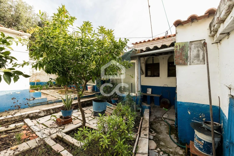 Moradia T3 para Venda em Terena (São Pedro) Foto 17