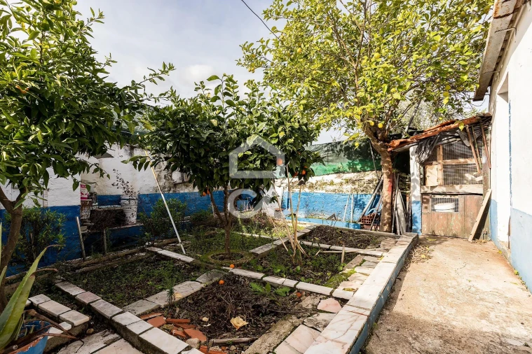 Moradia T3 para Venda em Terena (São Pedro) Foto 18