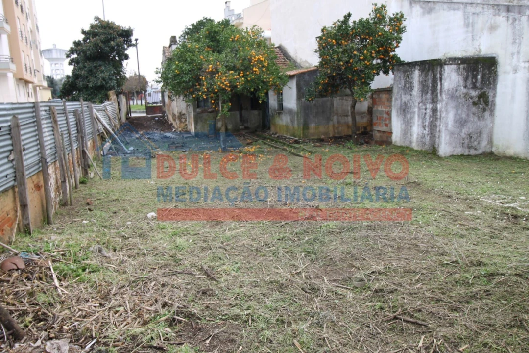 Moradia T2 para Venda em São João Baptista Foto 48