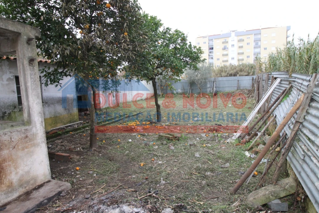 Moradia T2 para Venda em São João Baptista Foto 59