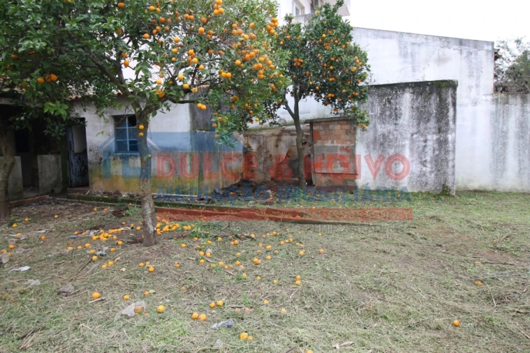 Moradia T2 para Venda em São João Baptista Foto 37