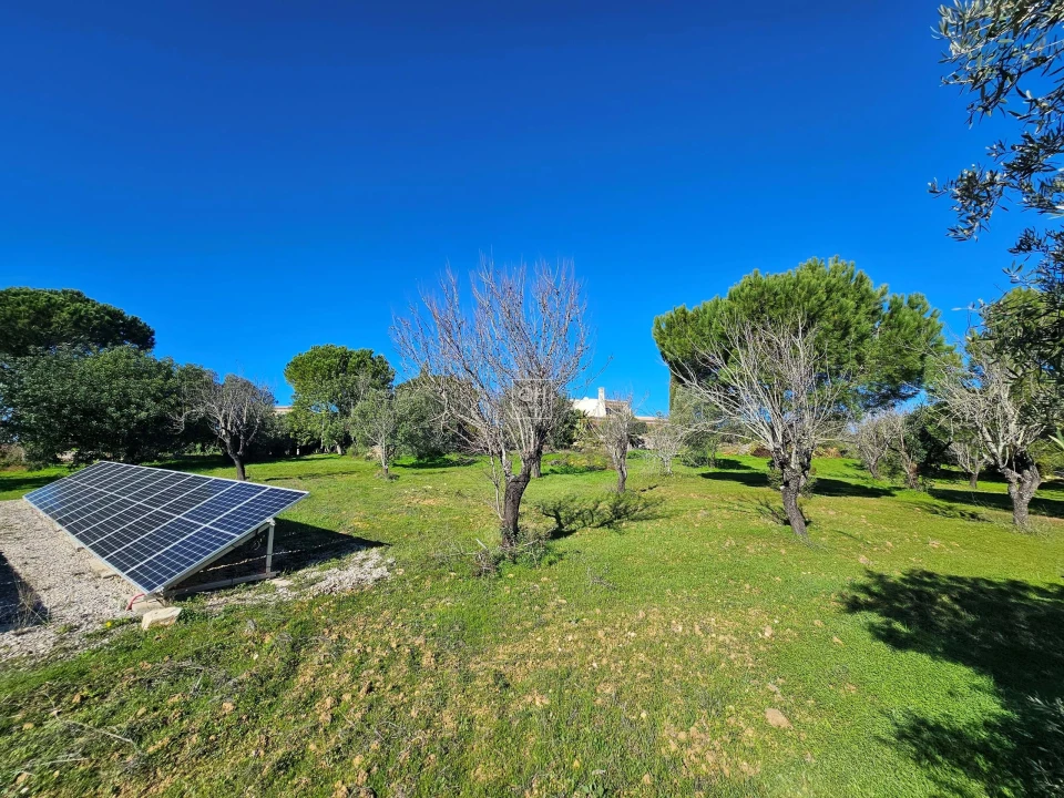 Moradia T3 para Venda em Loule (São Sebastião) Foto 33