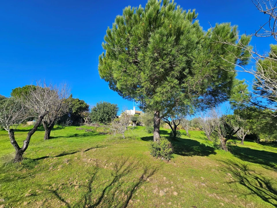 Moradia T3 para Venda em Loule (São Sebastião) Foto 32