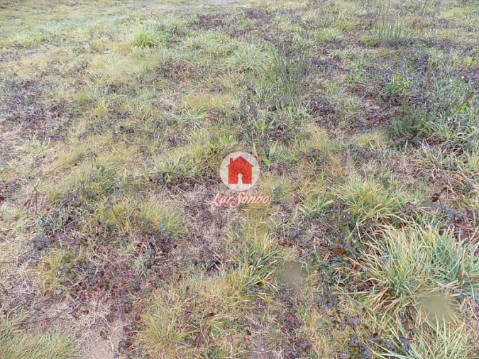 Terreno para Venda em Gondifelos, Cavalões e Outiz Foto 5