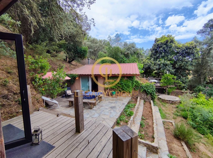 Moradia T0 para Venda em São Martinho das Amoreiras Foto 3