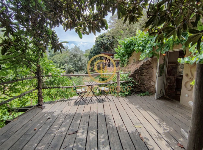 Moradia T0 para Venda em São Martinho das Amoreiras Foto 6