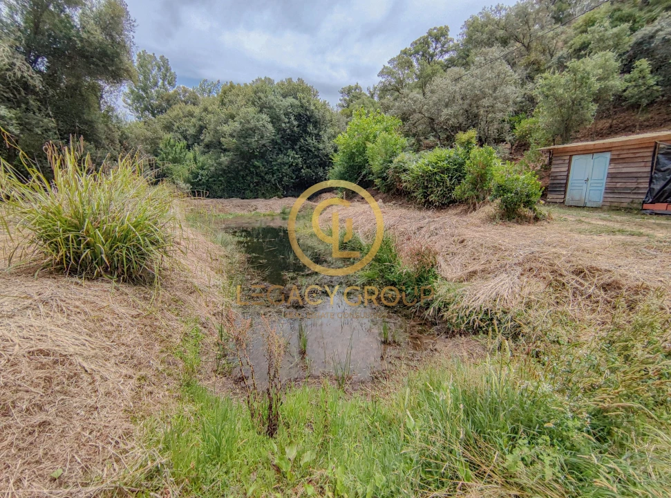 Moradia T0 para Venda em São Martinho das Amoreiras Foto 5