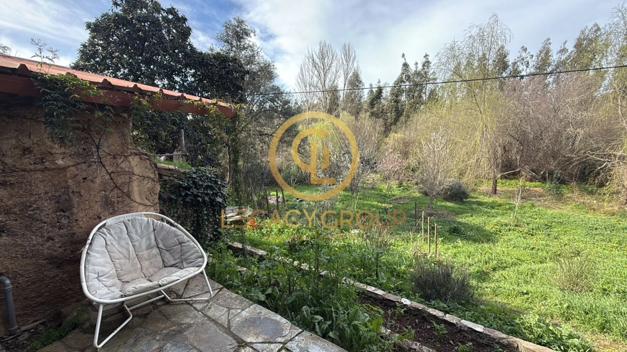 Moradia T0 para Venda em São Martinho das Amoreiras Foto 4