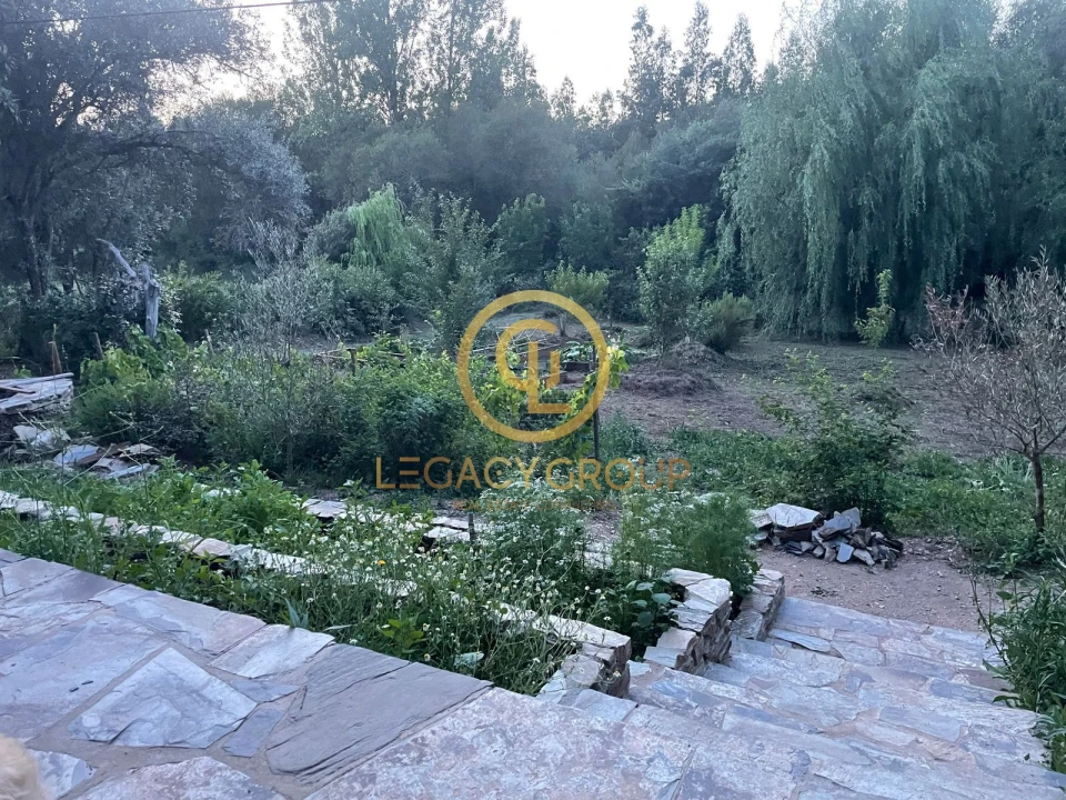 Moradia T0 para Venda em São Martinho das Amoreiras Foto 7