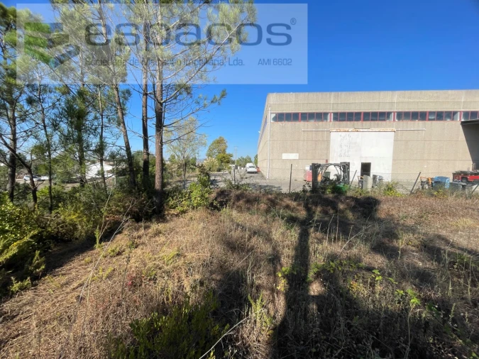 Terreno Agricola ou Rústico para Venda em Venda do Pinheiro e Santo Estêvão das Galés Foto 2