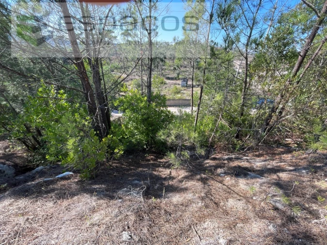 Terreno Agricola ou Rústico para Venda em Venda do Pinheiro e Santo Estêvão das Galés Foto 4