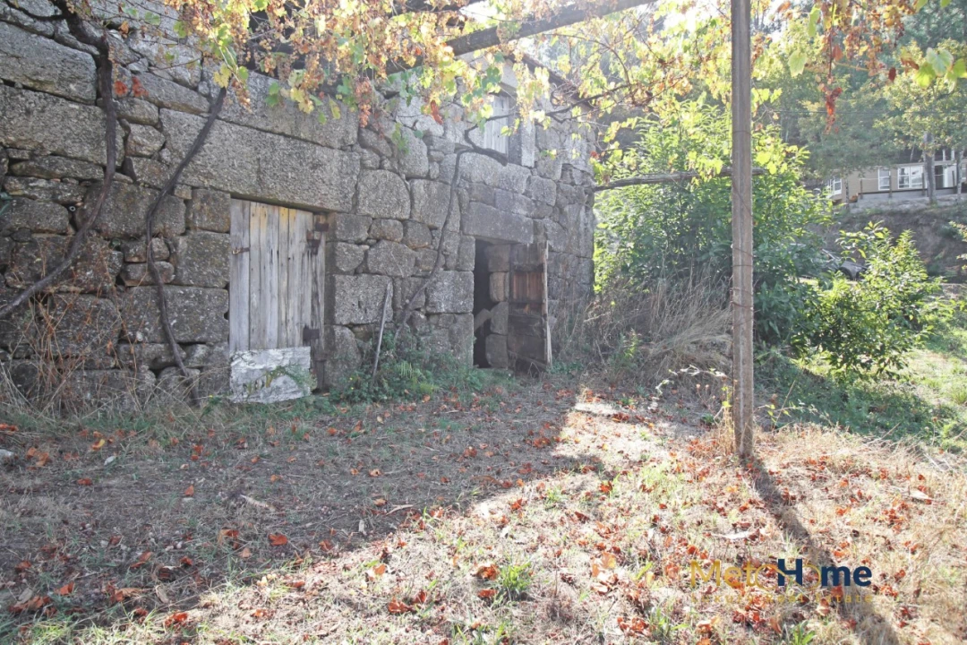 Terreno para Venda em Souselo Foto 1