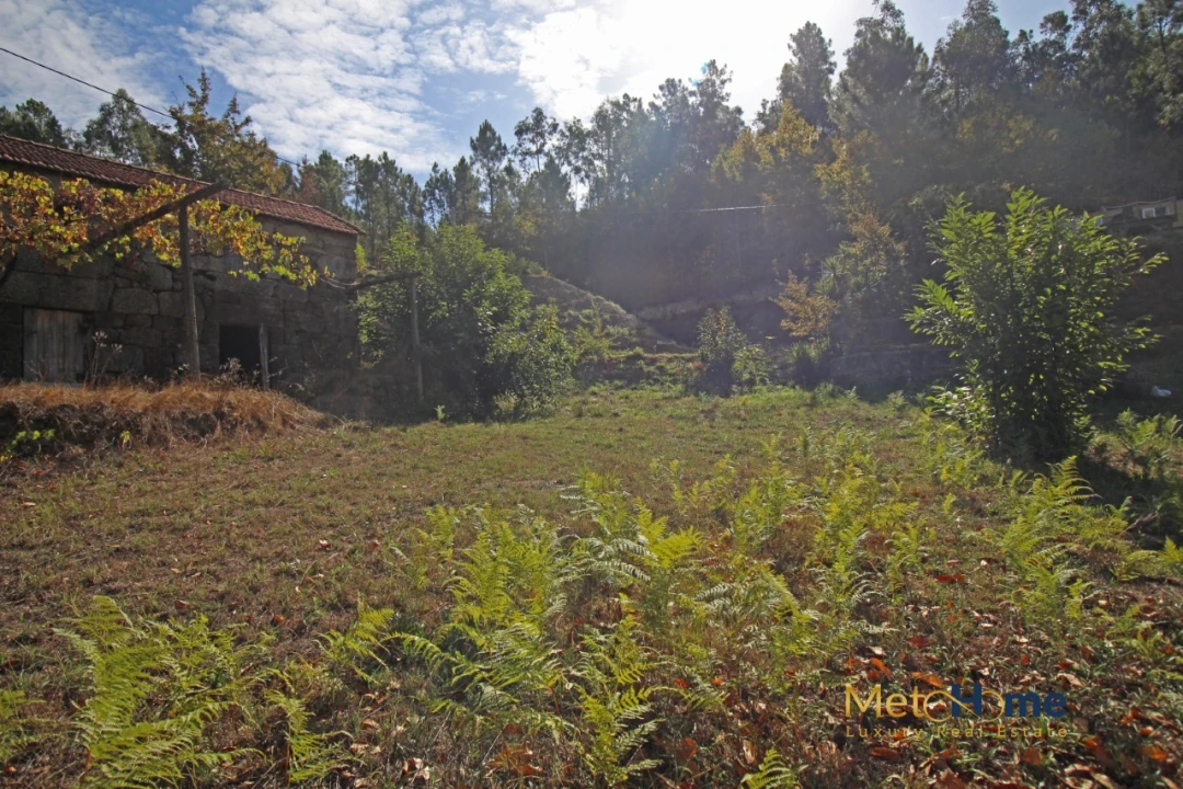 Terreno para Venda em Souselo Foto 9