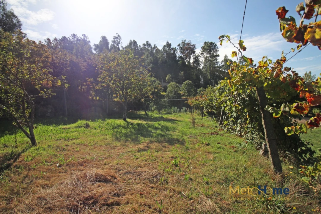 Terreno para Venda em Souselo Foto 11