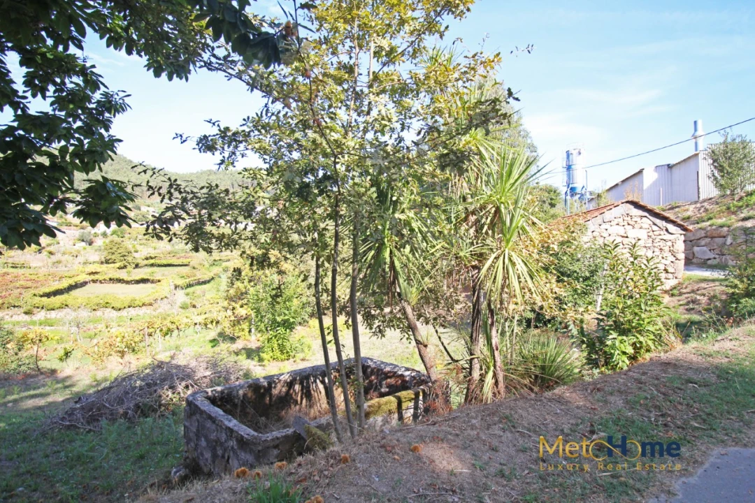 Terreno para Venda em Souselo Foto 14