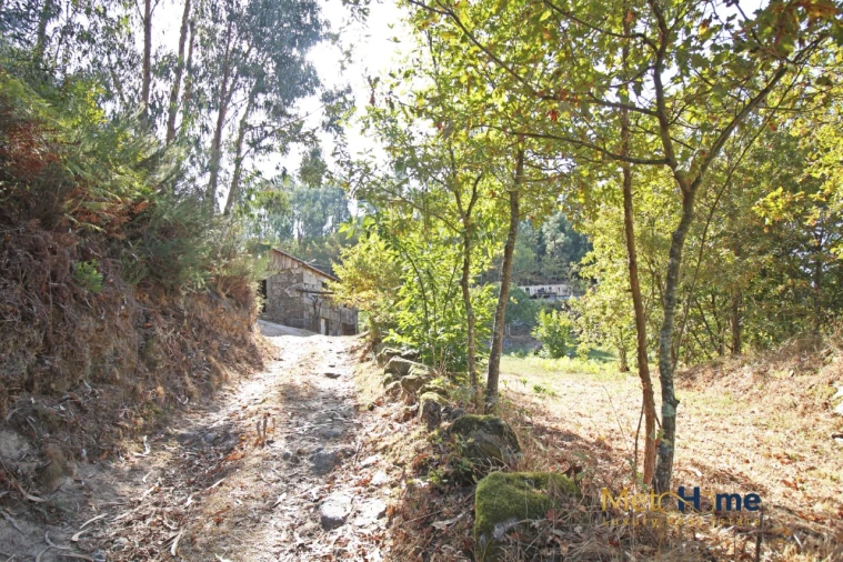 Terreno para Venda em Souselo Foto 6