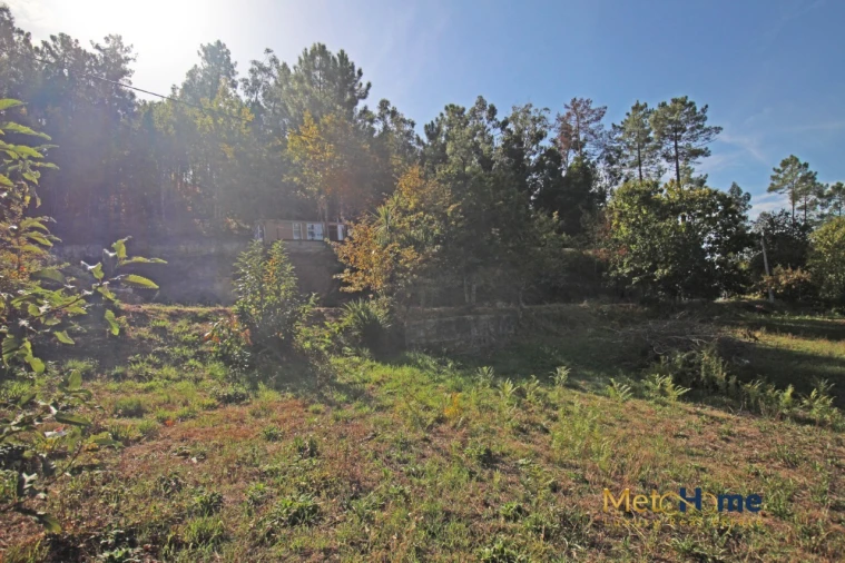 Terreno para Venda em Souselo Foto 7