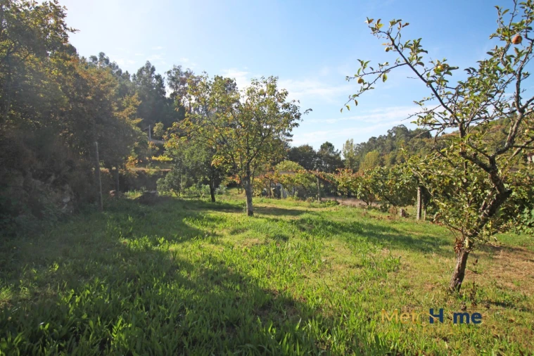 Terreno para Venda em Souselo Foto 8