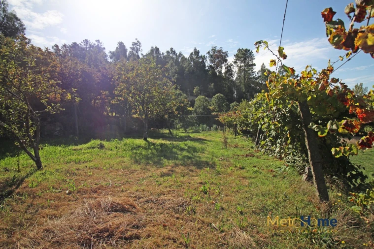 Terreno para Venda em Souselo Foto 11