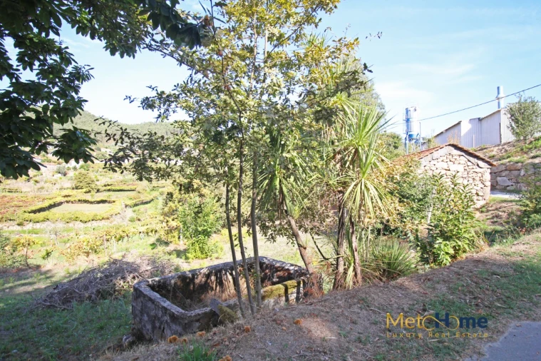 Terreno para Venda em Souselo Foto 14