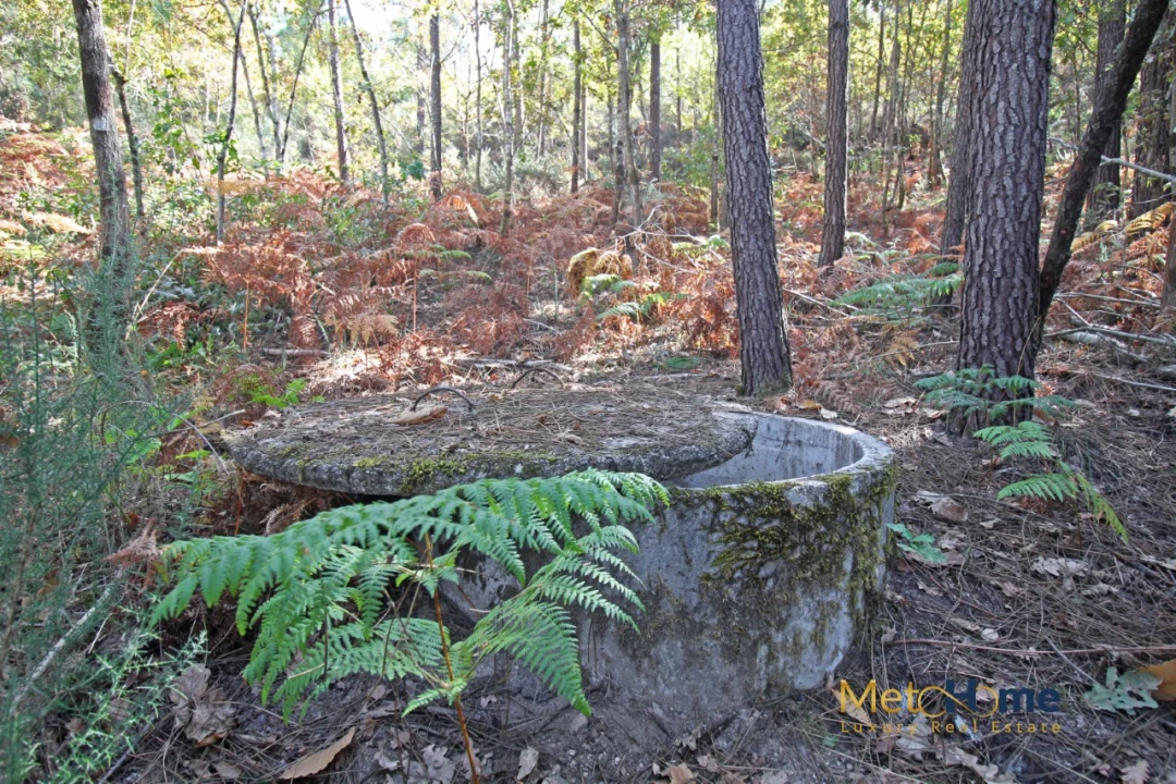 Quinta T3 para Venda em Souselo Foto 47