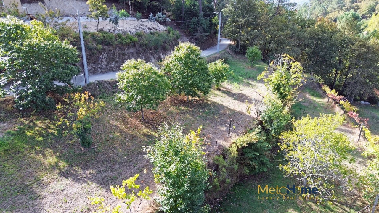 Quinta T3 para Venda em Souselo Foto 64