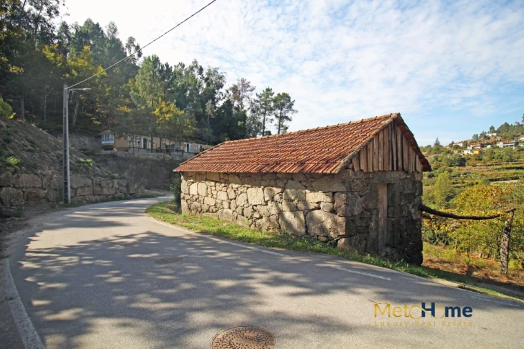 Quinta T3 para Venda em Souselo Foto 48