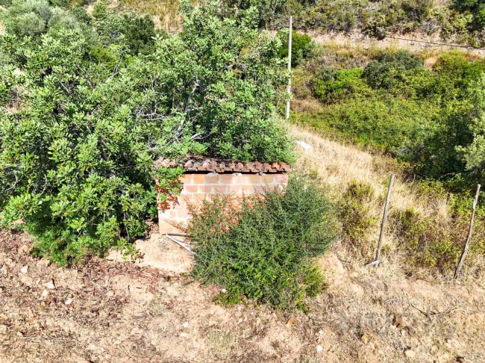 Quinta T3 para Venda em Silves Foto 14