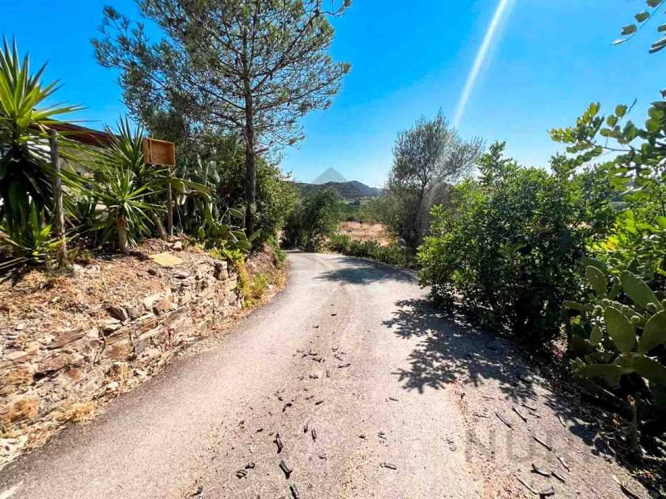 Quinta T3 para Venda em Silves Foto 25