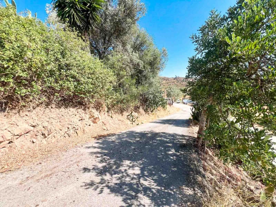 Quinta T3 para Venda em Silves Foto 33