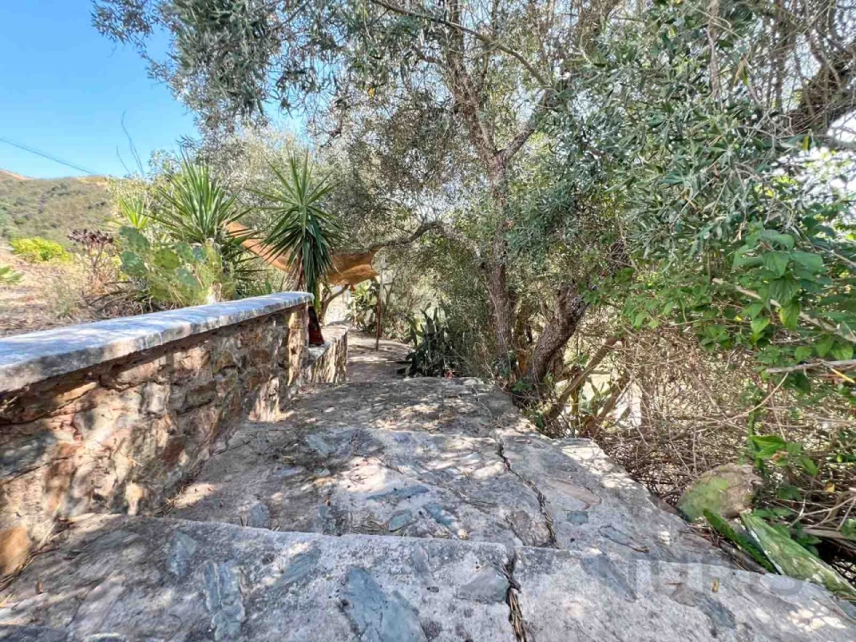 Quinta T3 para Venda em Silves Foto 47