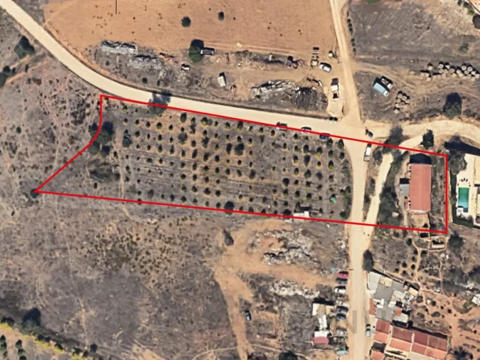 Quinta T3 para Venda em Silves Foto 7