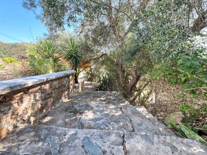 Quinta T3 para Venda em Silves Foto 47