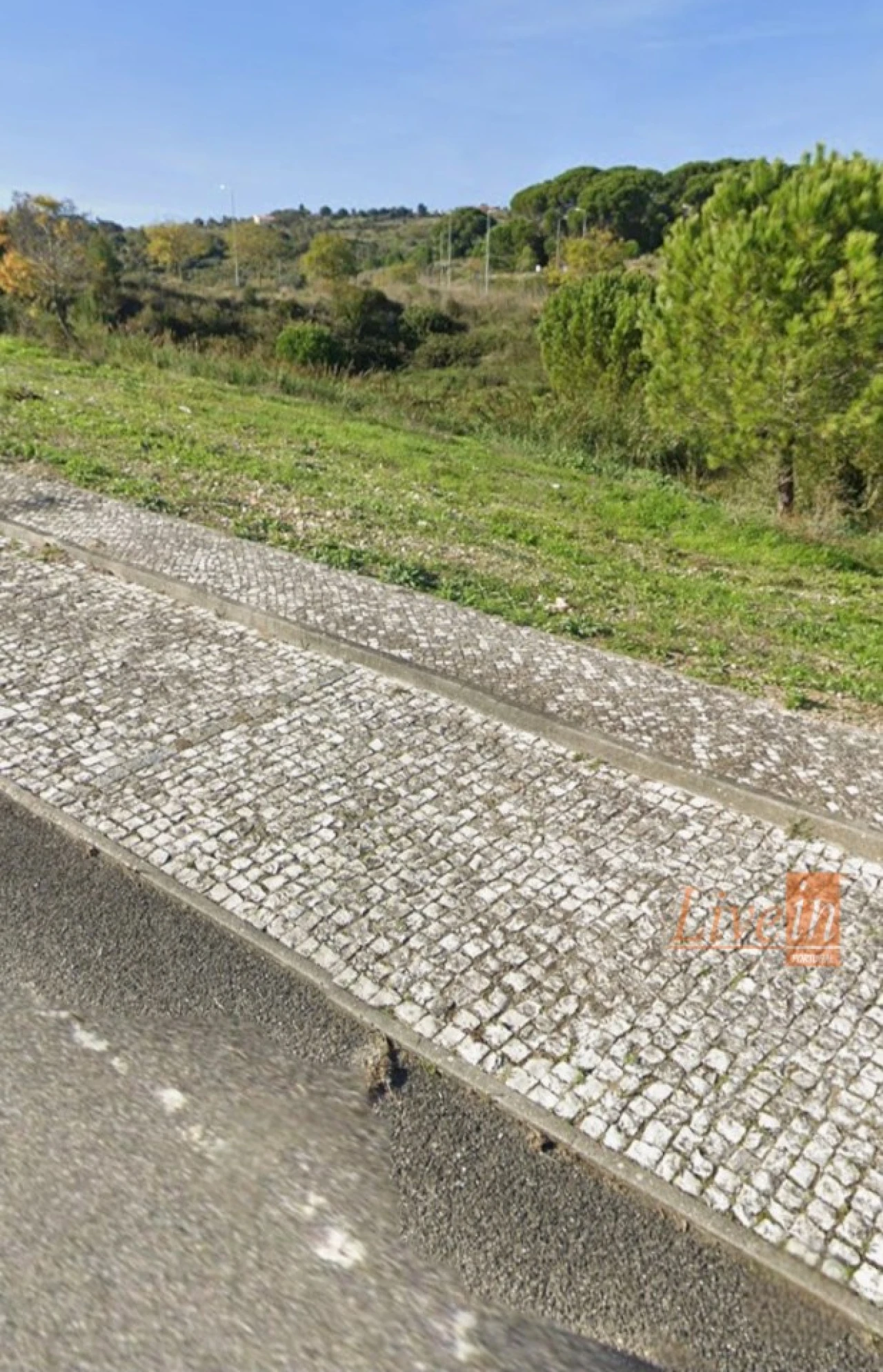 Terreno para Venda em Alenquer (Santo Estêvão e Triana) Foto 13