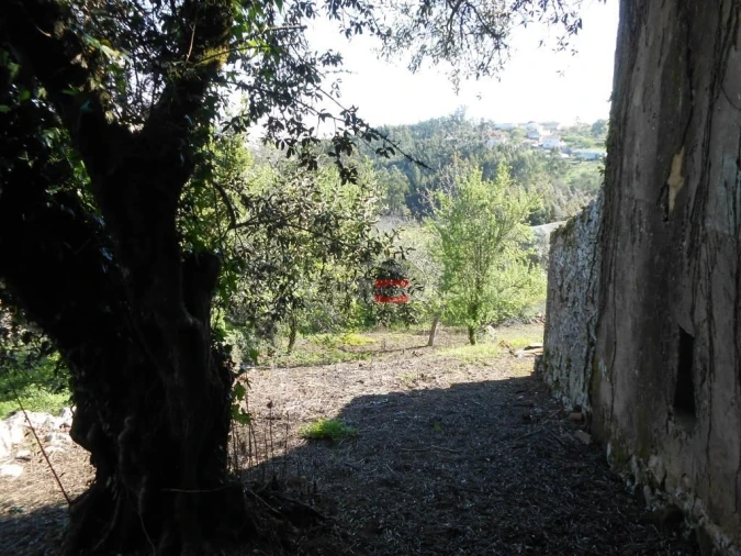 Moradia T3 para Venda em São Mamede Foto 5