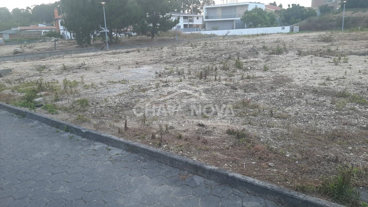 Terreno P/ Prédio para Venda em Madalena Foto 5