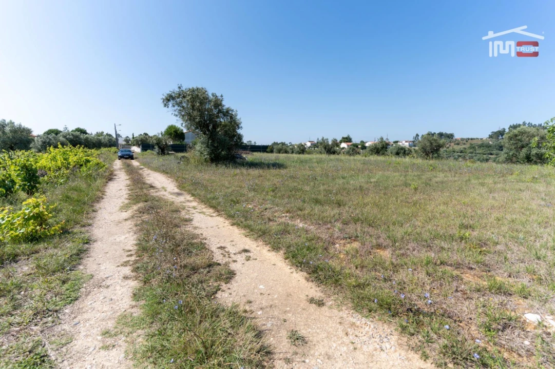 Terreno P/ Prédio para Venda em Alburitel Foto 3