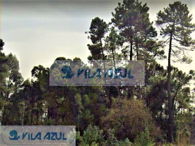 Terreno P/ Prédio para Venda em Rio Tinto Foto 2