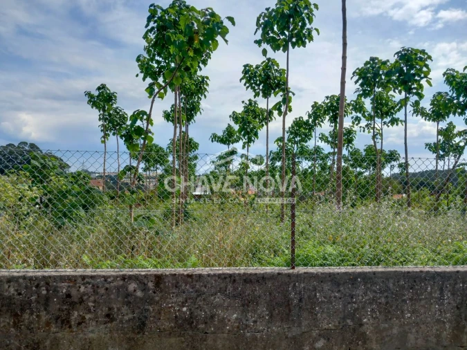 Terreno Agricola ou Rústico para Venda em Argoncilhe Foto 1